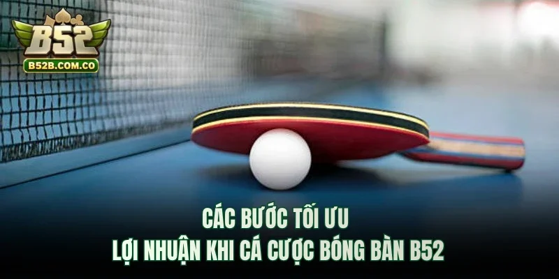Các bước tối ưu lợi nhuận khi cá cược bóng bàn 