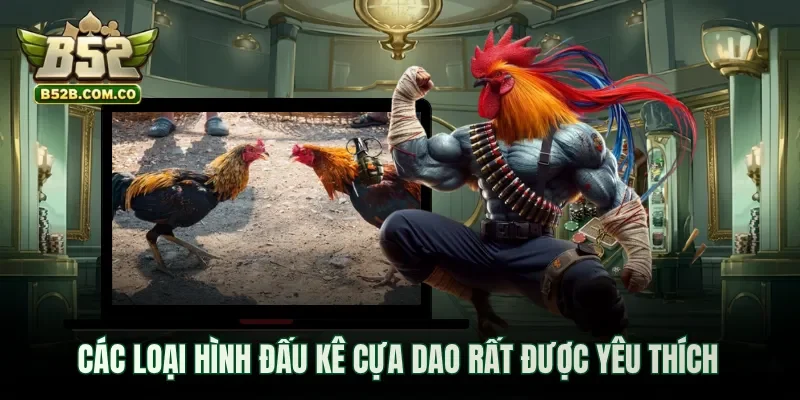 Các loại hình đấu kê cựa dao rất được yêu thích
