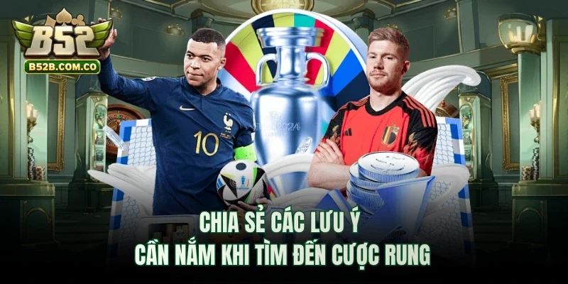 Chia sẻ các lưu ý cần nắm khi tìm đến cược rung