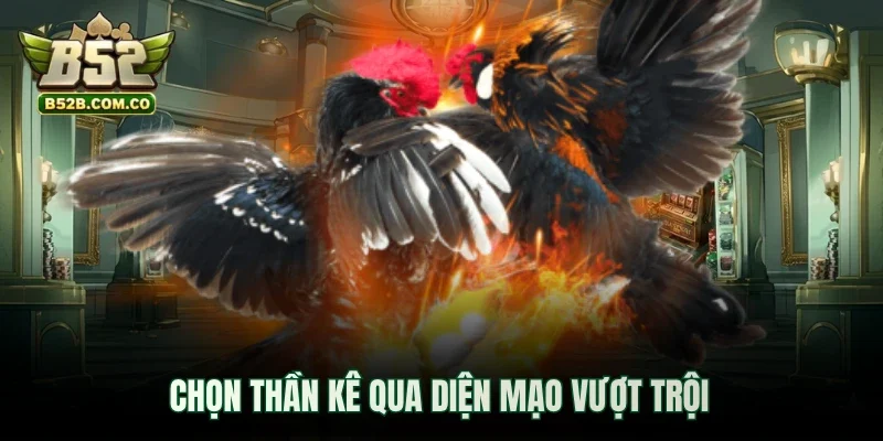 Chọn thần kê qua diện mạo vượt trội