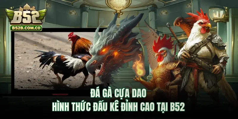 Đá gà cựa dao