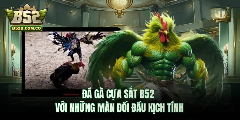 Đá gà cựa sắt B52club với những màn đối đầu kịch tính
