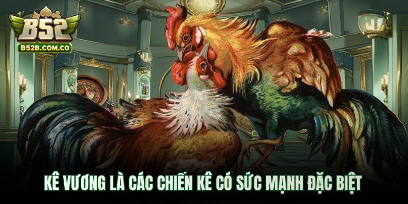 Kê Vương là các chiến kê có sức mạnh đặc biệt