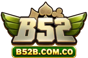 b52b.com.co