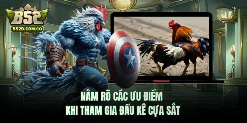 Nắm rõ các ưu điểm khi tham gia đấu kê cựa sắt